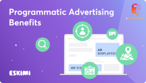 Benefits of Programmatic Advertising Platforms